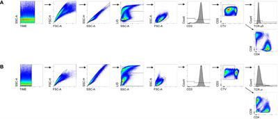 Species comparison: human and minipig PBMC reactivity under the influence of immunomodulating compounds in vitro